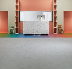 Forbo Eternal Colour 45172 medium rainbow фото 2 | FLOORDEALER